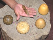�Ҥ礦����ץ�����